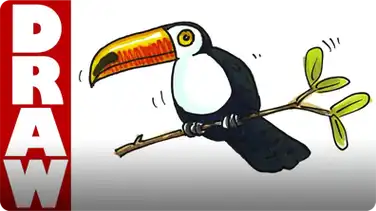How to Draw a Toucan book
