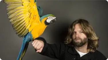 How to Train Your Bird to Fly Free book