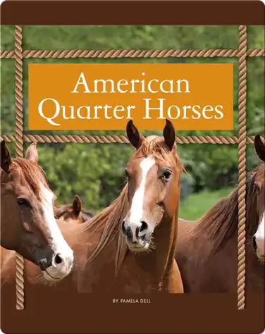 American Quarter Horses book
