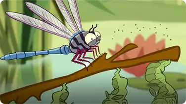 I'm a Dragonfly book