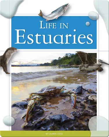Life in Estuaries book