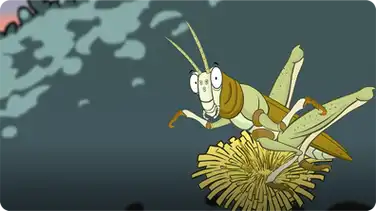 I'm a Grasshopper book