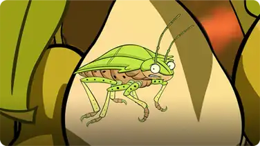 I'm a Stink Bug book