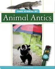True Stories of Animal Antics