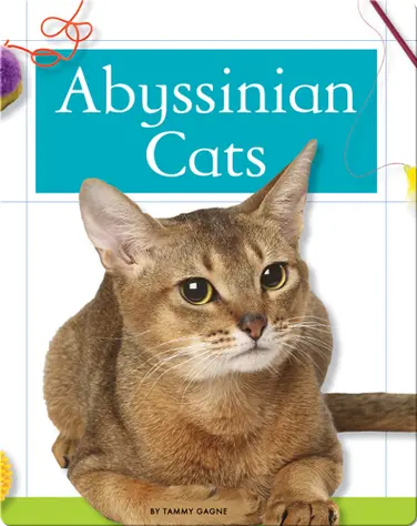 Abyssinian Cats book