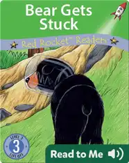 Bear Gets Stuck
