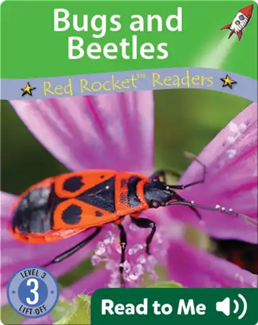 Bugs and Beetles book