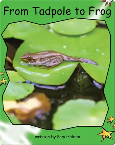 From Tadpole to Frog book