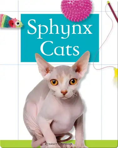 Sphynx Cats book