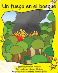 Un fuego en el bosque