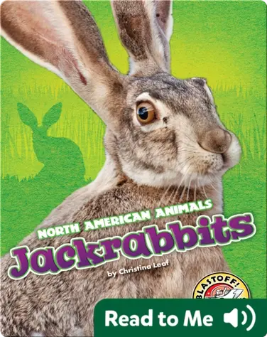 Jackrabbits book