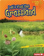 Let's Visit the Grassland