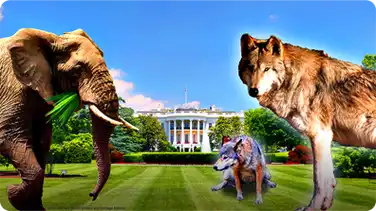 How to Keep Elephants and Wolves Out of Your Yard book