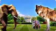 How to Keep Elephants and Wolves Out of Your Yard