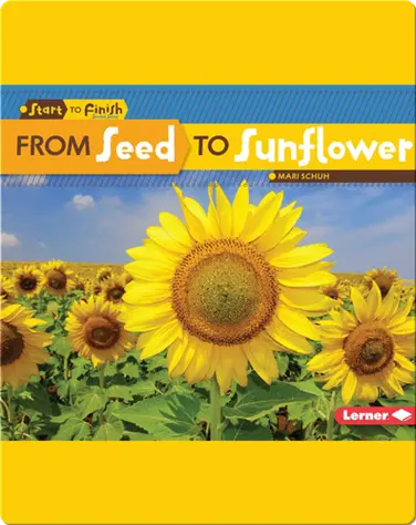 From Seed to Sunflower book