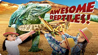 Reptiles for Kids | All About Reptiles | Fun Reptile Videos for Kids book