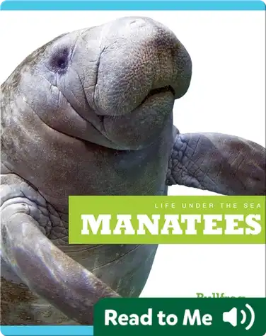 Life Under The Sea: Manatees book