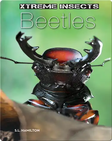 Beetles book