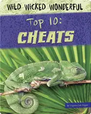Top 10: Cheats