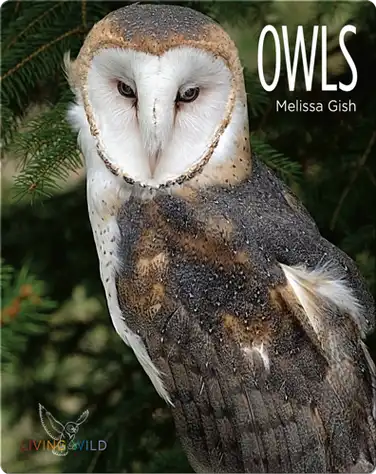 Owls book