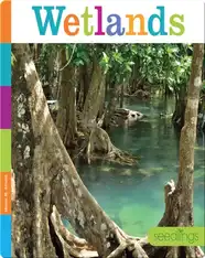 Wetlands