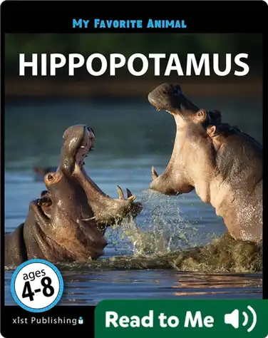 My Favorite Animal: Hippopotamus book