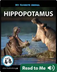 My Favorite Animal: Hippopotamus
