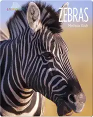 Zebras