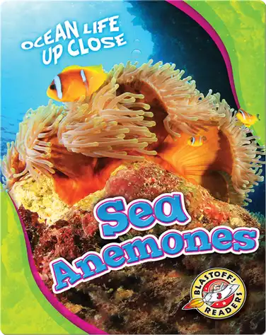 Ocean Life Up Close: Sea Anemones book