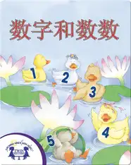 数字和数数
