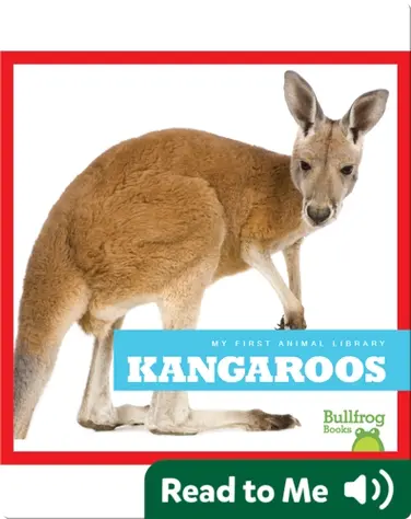My First Animal Library: Kangaroos book