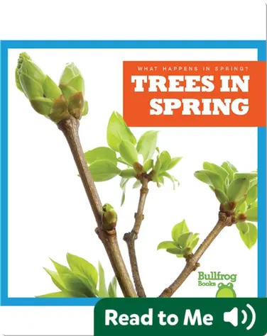 What Happens In Spring? Trees In Spring book