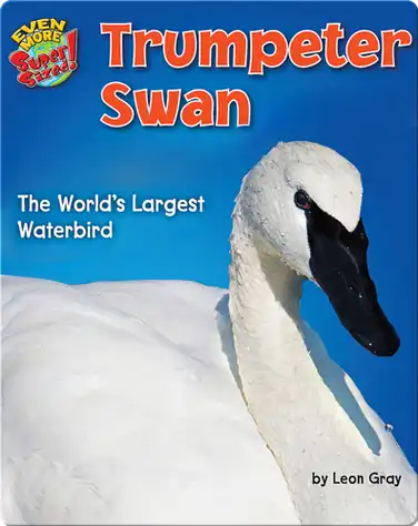 Trumpeter Swan book