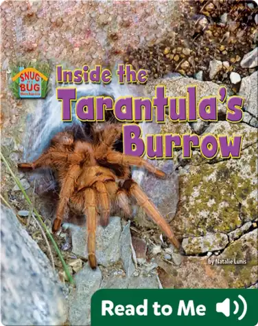 Inside the Tarantula’s Burrow book