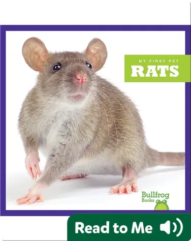 My First Pet: Rats book