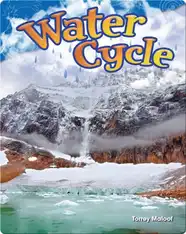 Water Cycle