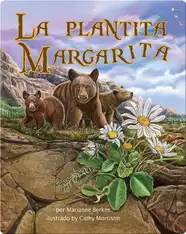 La plantita Margarita
