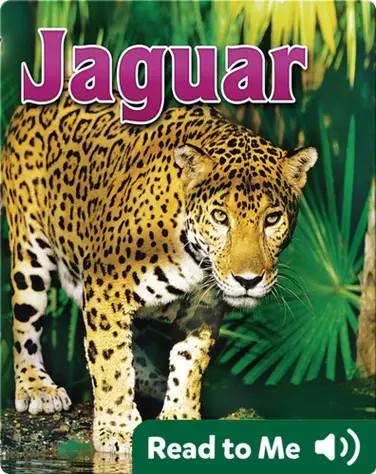 Jaguar book