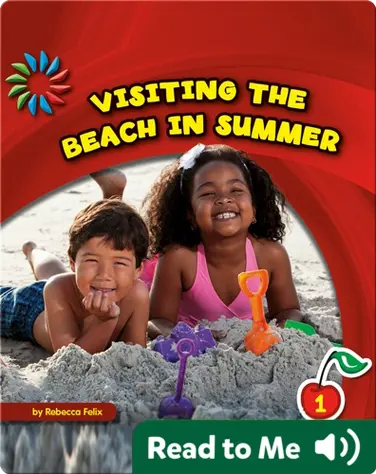 Visiting the Beach in Summer book