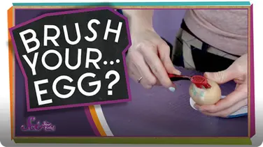 SciShow Kids: Remember to Brush Your... Egg? book