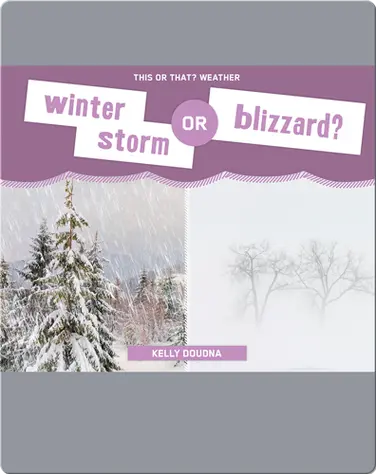 Winter Storm or Blizzard? book