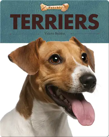 Terriers book