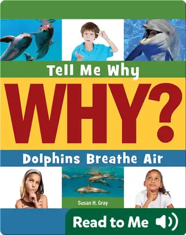 Dolphins Breathe Air book