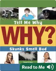 Skunks Smell Bad