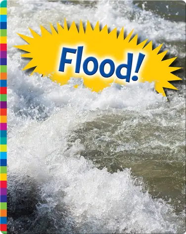 Flood! book