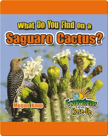 What Do You Find in a Saguro Cactus? book