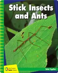Stick Insects and Ants