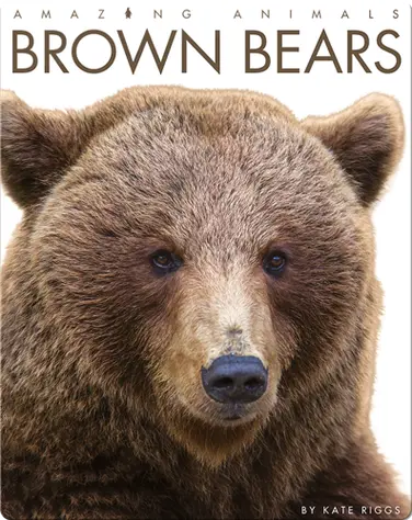Brown Bears book