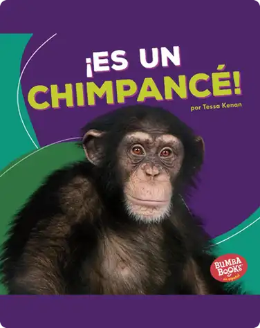 ¡Es un chimpancé! (It's a Chimpanzee!) book