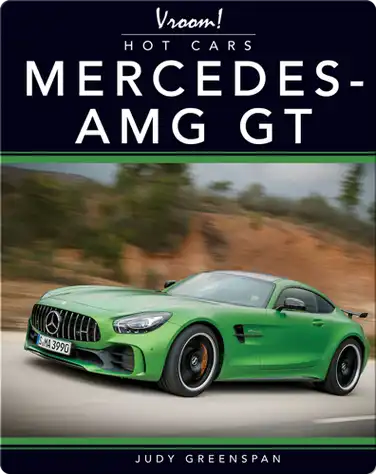 Mercedes AMG-GT book